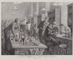 Die kürzlich eröffnete Schule für Tropenkrankheiten in Liverpool